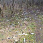 Topniejący śnieg odsłonił masę śmieci. Burmistrz Iłży apeluje o wspólne zachowanie porządku.