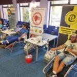 Ponad 15 litrów krwi oddali w piątek, 7 lipca pracownicy Elektrowni Kozienice. Była to już czwarta akcja zorganizowana na terenie spółki w tym roku w ramach programu "Energię mamy we krwi", w który zaangażowana jest cała Grupa Enea.