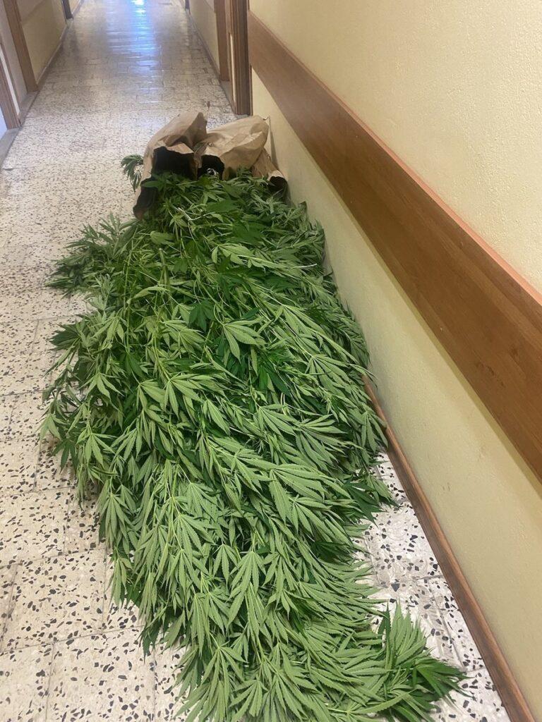 Radomscy policjanci w tym roku ujawnili ponad 100 kg narkotyków o wartości nie mniejszej niż 6 000 000 zł.