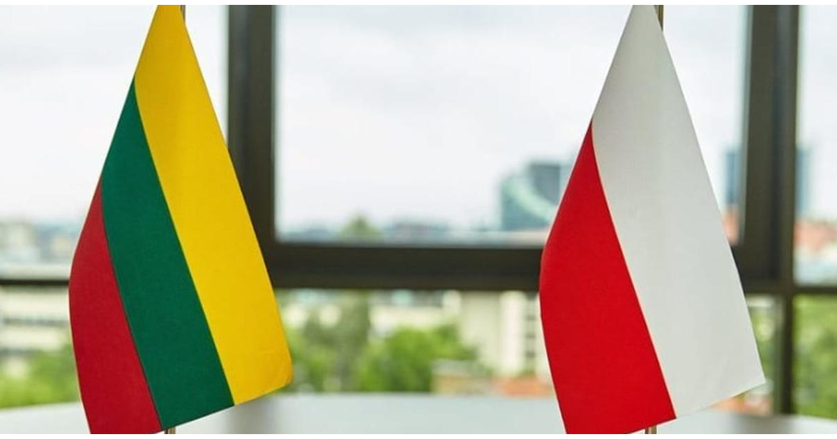 Zanurzeni w świat kultury i tradycji – PLF/2025/F1/W/0017 – to projekt, którego głównym celem jest popularyzacja niematerialnego dziedzictwa kulturowego Polski i Litwy wpisanego na światową listę UNESCO, realizowany przez uczniów Publicznej Szkoły Podstawowej nr 14 Integracyjnej im. Jana Pawła II w Radomiu oraz Vilniaus rajono Rudaminos meno mokykla w okresie od 1 maja do 5 lipca 2025 roku, sfinansowany ze środków Polsko-Litewskiego Funduszu Wymiany Młodzieży z dotacji MEN.